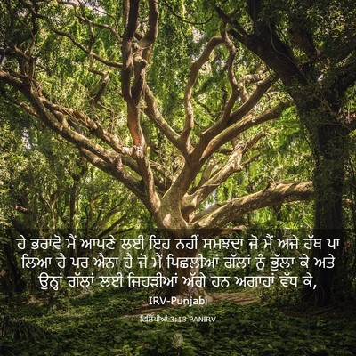 Picture 03 - ਫਿਲਿੱਪੀਆਂ 3:13 PANIRV - ਹੇ ਭਰਾਵੋ ਮੈਂ ਆਪਣੇ - Bible Verse Picture