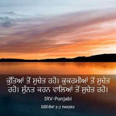 Picture 03 - ਫਿਲਿੱਪੀਆਂ 3:2 PANIRV - ਕੁੱਤਿਆਂ ਤੋਂ ਸੁਚੇਤ - Bible Verse Picture