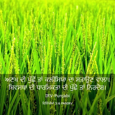 Picture 03 - ਫਿਲਿੱਪੀਆਂ 3:6 PANIRV - ਅਣਖ ਦੀ ਪੁੱਛੋਂ ਤਾਂ - Bible Verse Picture