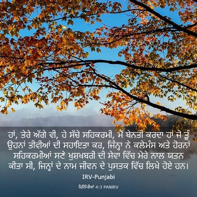 Picture 03 - ਫਿਲਿੱਪੀਆਂ 4:3 PANIRV - ਹਾਂ, ਤੇਰੇ ਅੱਗੇ ਵੀ, - Bible Verse Picture