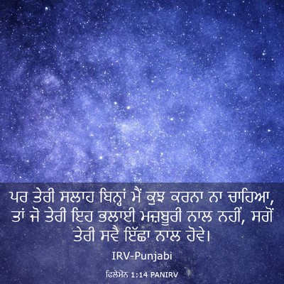 Picture 03 - ਫਿਲੇਮੋਨ 1:14 PANIRV - ਪਰ ਤੇਰੀ ਸਲਾਹ - Bible Verse Picture