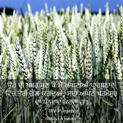 Picture 03 - ਫਿਲੇਮੋਨ 1:5 PANIRV - ਉਹ ਦੀ ਖ਼ਬਰ ਸੁਣ ਕੇ - Bible Verse Picture
