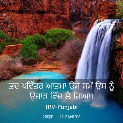 Picture 03 - ਮਰਕੁਸ 1:12 PANIRV - ਤਦ ਪਵਿੱਤਰ ਆਤਮਾ ਉਸੇ - Bible Verse Picture