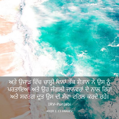 Picture 03 - ਮਰਕੁਸ 1:13 PANIRV - ਅਤੇ ਉਜਾੜ ਵਿੱਚ - Bible Verse Picture