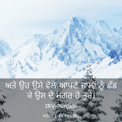 Picture 03 - ਮਰਕੁਸ 1:18 PANIRV - ਅਤੇ ਉਹ ਉਸੇ ਵੇਲੇ - Bible Verse Picture