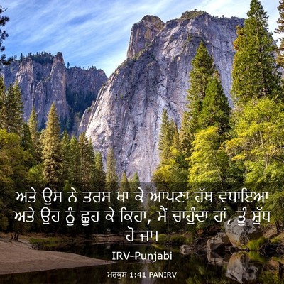 Picture 03 - ਮਰਕੁਸ 1:41 PANIRV - ਅਤੇ ਉਸ ਨੇ ਤਰਸ ਖਾ ਕੇ - Bible Verse Picture