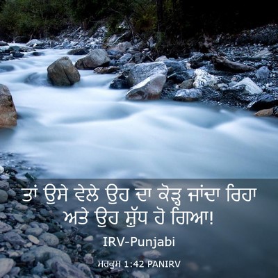Picture 03 - ਮਰਕੁਸ 1:42 PANIRV - ਤਾਂ ਉਸੇ ਵੇਲੇ ਉਹ ਦਾ - Bible Verse Picture