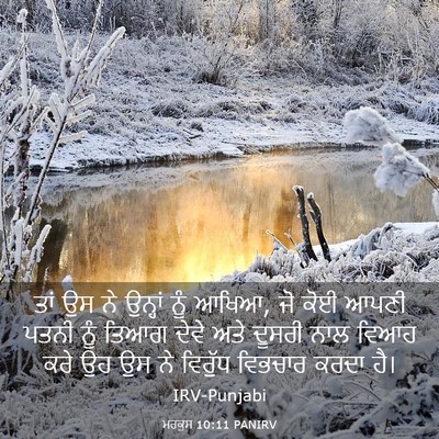 Picture 03 - ਮਰਕੁਸ 10:11 PANIRV - ਤਾਂ ਉਸ ਨੇ ਉਨ੍ਹਾਂ - Bible Verse Picture