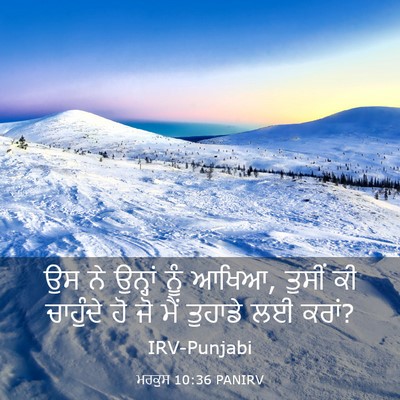 Picture 03 - ਮਰਕੁਸ 10:36 PANIRV - ਉਸ ਨੇ ਉਨ੍ਹਾਂ ਨੂੰ - Bible Verse Picture