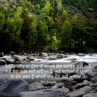 Picture 03 - ਮਰਕੁਸ 10:45 PANIRV - ਕਿਉਂਕਿ ਮਨੁੱਖ ਦਾ - Bible Verse Picture