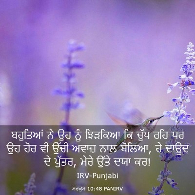 Picture 03 - ਮਰਕੁਸ 10:48 PANIRV - ਬਹੁਤਿਆਂ ਨੇ ਉਹ ਨੂੰ - Bible Verse Picture