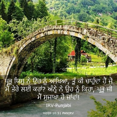 Picture 03 - ਮਰਕੁਸ 10:51 PANIRV - ਪ੍ਰਭੂ ਯਿਸੂ ਨੇ ਉਹ - Bible Verse Picture