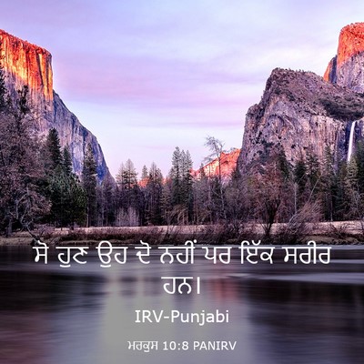 Picture 03 - ਮਰਕੁਸ 10:8 PANIRV - ਸੋ ਹੁਣ ਉਹ ਦੋ ਨਹੀਂ - Bible Verse Picture