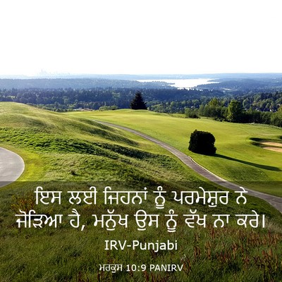 Picture 03 - ਮਰਕੁਸ 10:9 PANIRV - ਇਸ ਲਈ ਜਿਹਨਾਂ ਨੂੰ - Bible Verse Picture