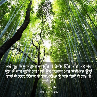 Picture 03 - ਮਰਕੁਸ 11:11 PANIRV - ਅਤੇ ਪ੍ਰਭੂ ਯਿਸੂ - Bible Verse Picture