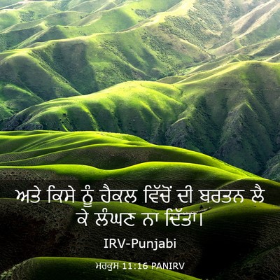 Picture 03 - ਮਰਕੁਸ 11:16 PANIRV - ਅਤੇ ਕਿਸੇ ਨੂੰ ਹੈਕਲ - Bible Verse Picture