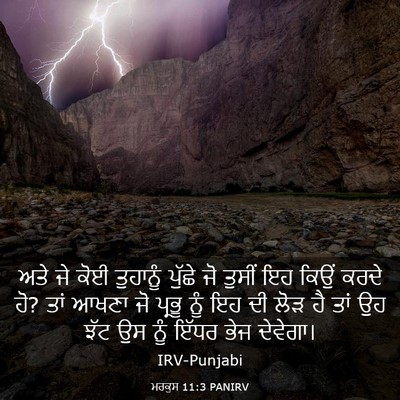 Picture 03 - ਮਰਕੁਸ 11:3 PANIRV - ਅਤੇ ਜੇ ਕੋਈ ਤੁਹਾਨੂੰ - Bible Verse Picture