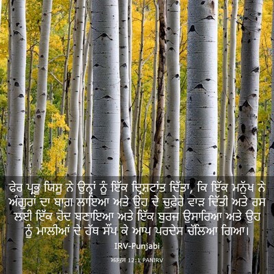 Picture 03 - ਮਰਕੁਸ 12:1 PANIRV - ਫੇਰ ਪ੍ਰਭੂ ਯਿਸੂ ਨੇ - Bible Verse Picture