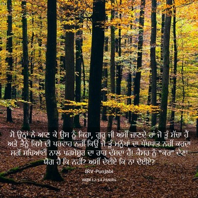 Picture 03 - ਮਰਕੁਸ 12:14 PANIRV - ਸੋ ਉਨ੍ਹਾਂ ਨੇ ਆਣ ਕੇ - Bible Verse Picture