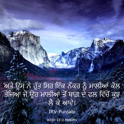Picture 03 - ਮਰਕੁਸ 12:2 PANIRV - ਅਤੇ ਉਸ ਨੇ ਰੁੱਤ ਸਿਰ - Bible Verse Picture