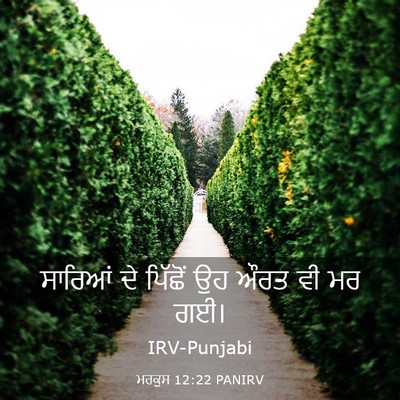 Picture 03 - ਮਰਕੁਸ 12:22 PANIRV - ਸਾਰਿਆਂ ਦੇ ਪਿੱਛੋਂ - Bible Verse Picture