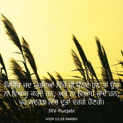 Picture 03 - ਮਰਕੁਸ 12:25 PANIRV - ਕਿਉਂਕਿ ਜਦ ਮੁਰਦਿਆਂ - Bible Verse Picture