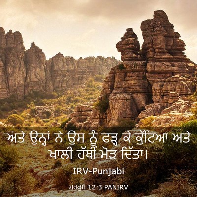 Picture 03 - ਮਰਕੁਸ 12:3 PANIRV - ਅਤੇ ਉਨ੍ਹਾਂ ਨੇ ਉਸ - Bible Verse Picture