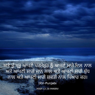 Picture 03 - ਮਰਕੁਸ 12:30 PANIRV - ਅਤੇ ਤੂੰ ਪ੍ਰਭੂ ਆਪਣੇ - Bible Verse Picture