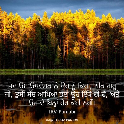 Picture 03 - ਮਰਕੁਸ 12:32 PANIRV - ਤਦ ਉਸ ਉਪਦੇਸ਼ਕ ਨੇ ਉਹ - Bible Verse Picture