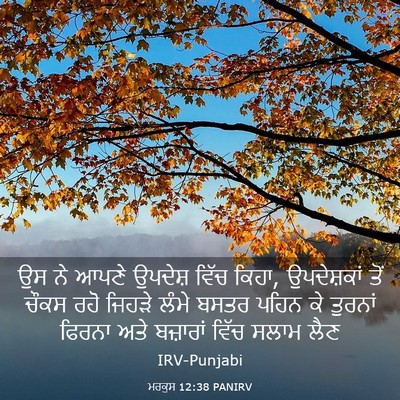 Picture 03 - ਮਰਕੁਸ 12:38 PANIRV - ਉਸ ਨੇ ਆਪਣੇ ਉਪਦੇਸ਼ - Bible Verse Picture