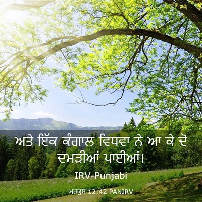 Picture 03 - ਮਰਕੁਸ 12:42 PANIRV - ਅਤੇ ਇੱਕ ਕੰਗਾਲ - Bible Verse Picture