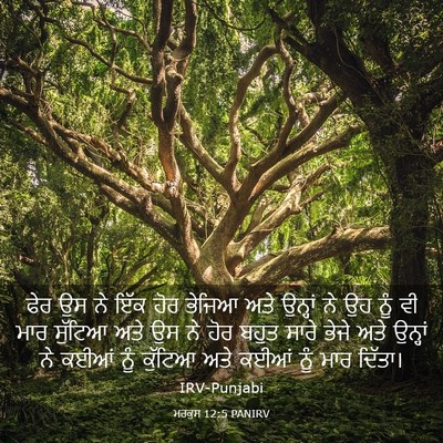 Picture 03 - ਮਰਕੁਸ 12:5 PANIRV - ਫੇਰ ਉਸ ਨੇ ਇੱਕ ਹੋਰ - Bible Verse Picture