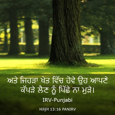 Picture 03 - ਮਰਕੁਸ 13:16 PANIRV - ਅਤੇ ਜਿਹੜਾ ਖੇਤ ਵਿੱਚ - Bible Verse Picture