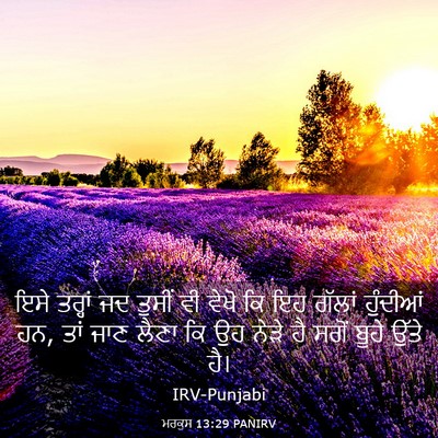 Picture 03 - ਮਰਕੁਸ 13:29 PANIRV - ਇਸੇ ਤਰ੍ਹਾਂ ਜਦ - Bible Verse Picture