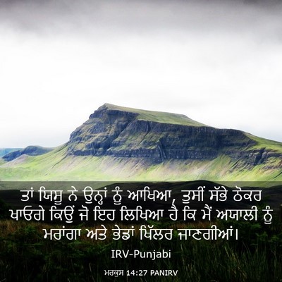 Picture 03 - ਮਰਕੁਸ 14:27 PANIRV - ਤਾਂ ਯਿਸੂ ਨੇ ਉਨ੍ਹਾਂ - Bible Verse Picture
