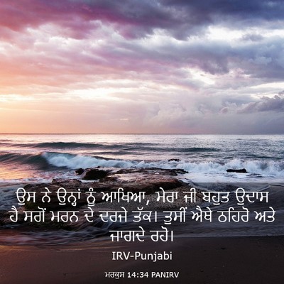 Picture 03 - ਮਰਕੁਸ 14:34 PANIRV - ਉਸ ਨੇ ਉਨ੍ਹਾਂ ਨੂੰ - Bible Verse Picture
