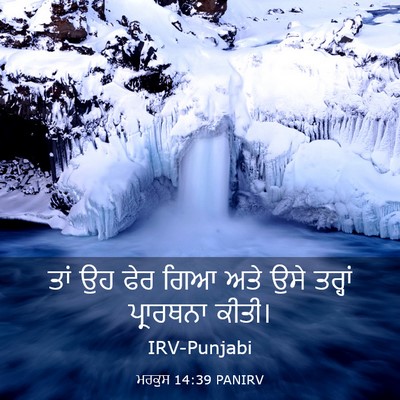 Picture 03 - ਮਰਕੁਸ 14:39 PANIRV - ਤਾਂ ਉਹ ਫੇਰ ਗਿਆ ਅਤੇ - Bible Verse Picture