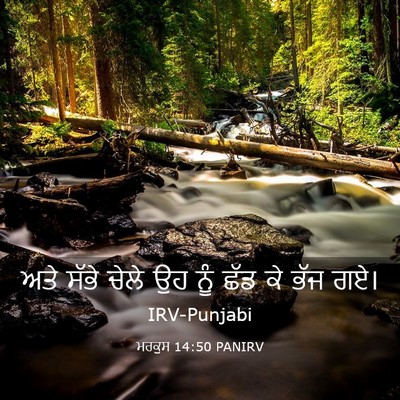 Picture 03 - ਮਰਕੁਸ 14:50 PANIRV - ਅਤੇ ਸੱਭੇ ਚੇਲੇ ਉਹ - Bible Verse Picture