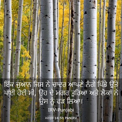 Picture 03 - ਮਰਕੁਸ 14:51 PANIRV - ਇੱਕ ਜੁਆਨ ਜਿਸ ਨੇ - Bible Verse Picture