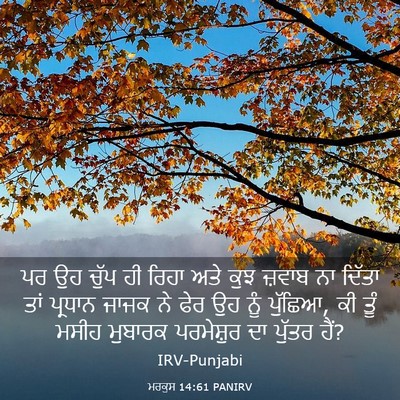 Picture 03 - ਮਰਕੁਸ 14:61 PANIRV - ਪਰ ਉਹ ਚੁੱਪ ਹੀ ਰਿਹਾ - Bible Verse Picture