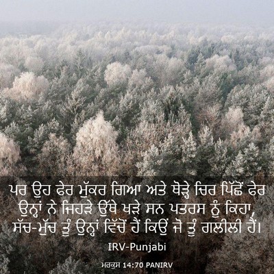 Picture 03 - ਮਰਕੁਸ 14:70 PANIRV - ਪਰ ਉਹ ਫੇਰ ਮੁੱਕਰ ਗਿਆ - Bible Verse Picture