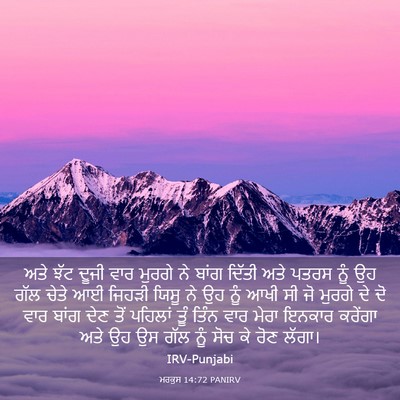 Picture 03 - ਮਰਕੁਸ 14:72 PANIRV - ਅਤੇ ਝੱਟ ਦੂਜੀ ਵਾਰ - Bible Verse Picture