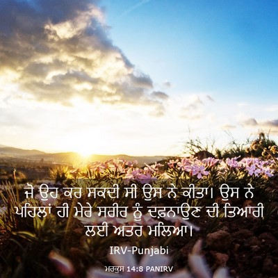Picture 03 - ਮਰਕੁਸ 14:8 PANIRV - ਜੋ ਉਹ ਕਰ ਸਕਦੀ ਸੀ ਉਸ - Bible Verse Picture