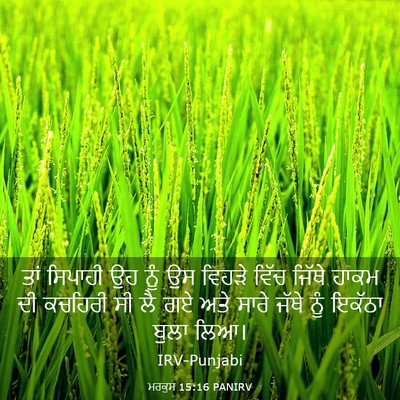 Picture 03 - ਮਰਕੁਸ 15:16 PANIRV - ਤਾਂ ਸਿਪਾਹੀ ਉਹ ਨੂੰ - Bible Verse Picture