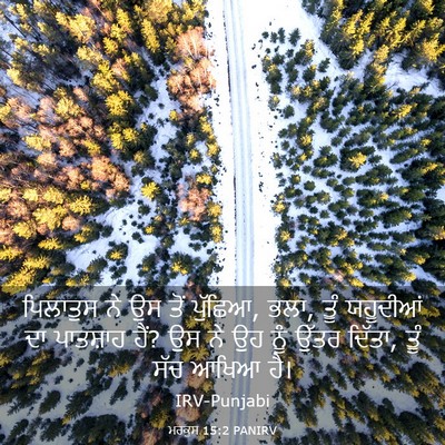 Picture 03 - ਮਰਕੁਸ 15:2 PANIRV - ਪਿਲਾਤੁਸ ਨੇ ਉਸ ਤੋਂ - Bible Verse Picture