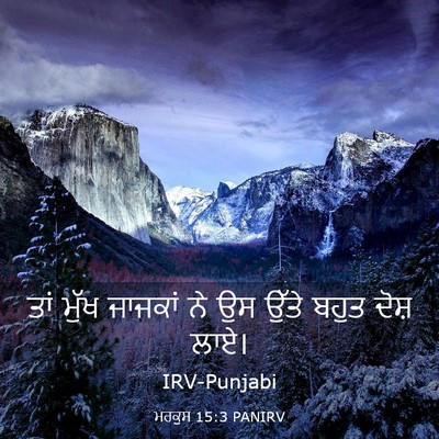 Picture 03 - ਮਰਕੁਸ 15:3 PANIRV - ਤਾਂ ਮੁੱਖ ਜਾਜਕਾਂ ਨੇ - Bible Verse Picture