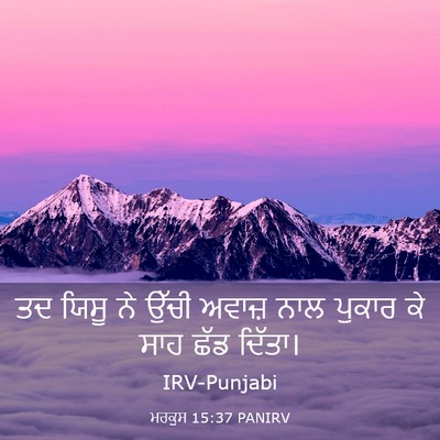 Picture 03 - ਮਰਕੁਸ 15:37 PANIRV - ਤਦ ਯਿਸੂ ਨੇ ਉੱਚੀ - Bible Verse Picture