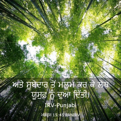 Picture 03 - ਮਰਕੁਸ 15:45 PANIRV - ਅਤੇ ਸੂਬੇਦਾਰ ਤੋਂ - Bible Verse Picture