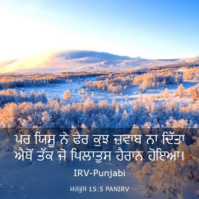 Picture 03 - ਮਰਕੁਸ 15:5 PANIRV - ਪਰ ਯਿਸੂ ਨੇ ਫੇਰ ਕੁਝ - Bible Verse Picture