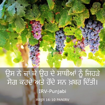 Picture 03 - ਮਰਕੁਸ 16:10 PANIRV - ਉਸ ਨੇ ਜਾ ਕੇ ਉਹ ਦੇ - Bible Verse Picture